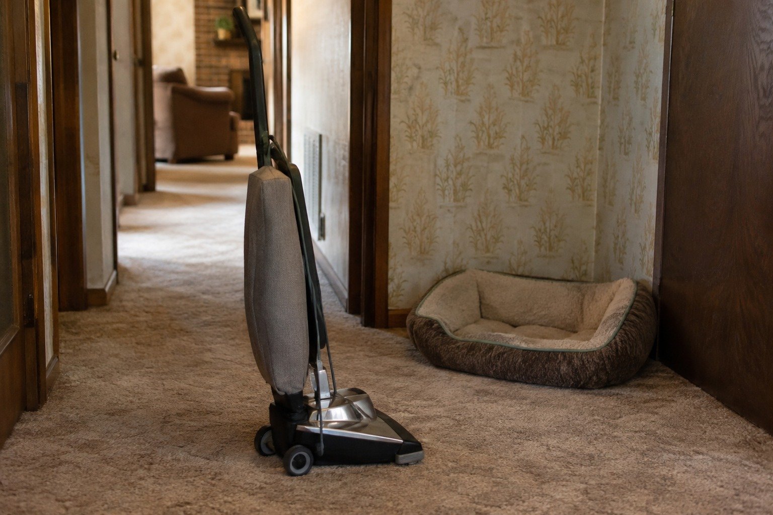An upright vacuum in the carpeted hallway of a Fredericksburg home beside a pet bed