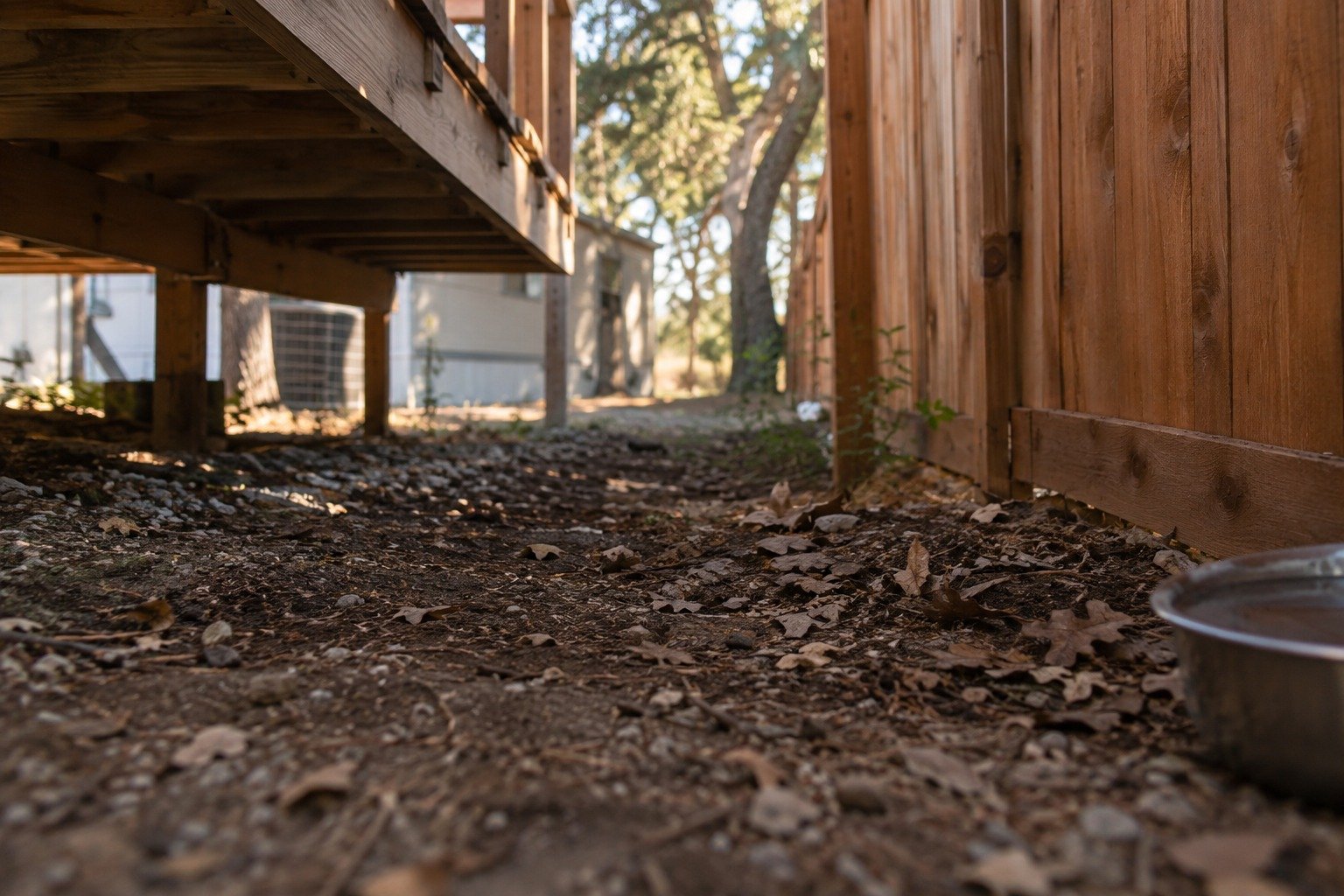 The shaded ground under a deck and along a fence line in a Hill Country backyard