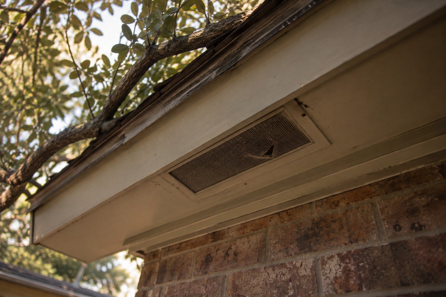 A torn soffit vent screen under the eave of a Fredericksburg brick home with a branch touching the roof